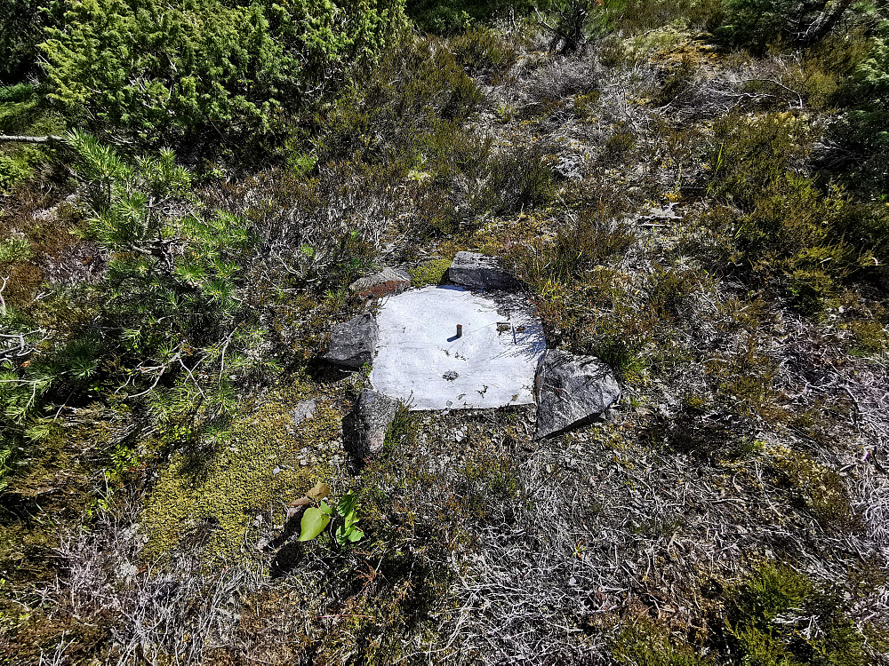 Trigpunktet Fønsetåsen