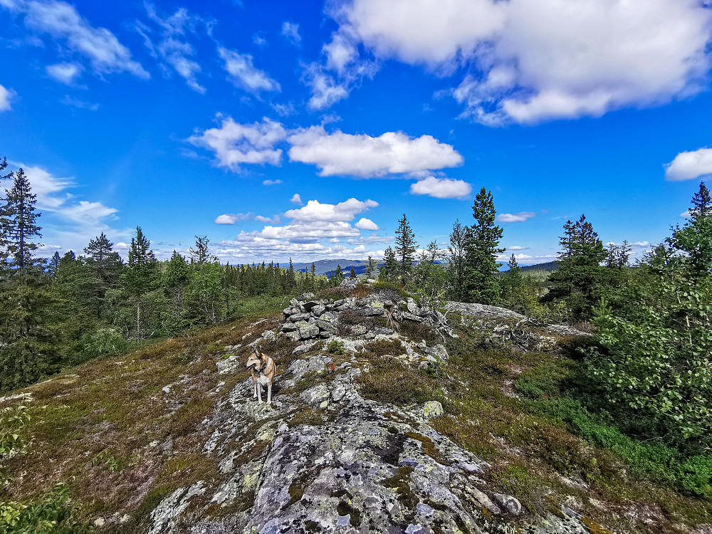 Vrågå