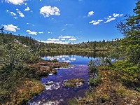 ovega_20200803_5f27a5310e405.jpeg