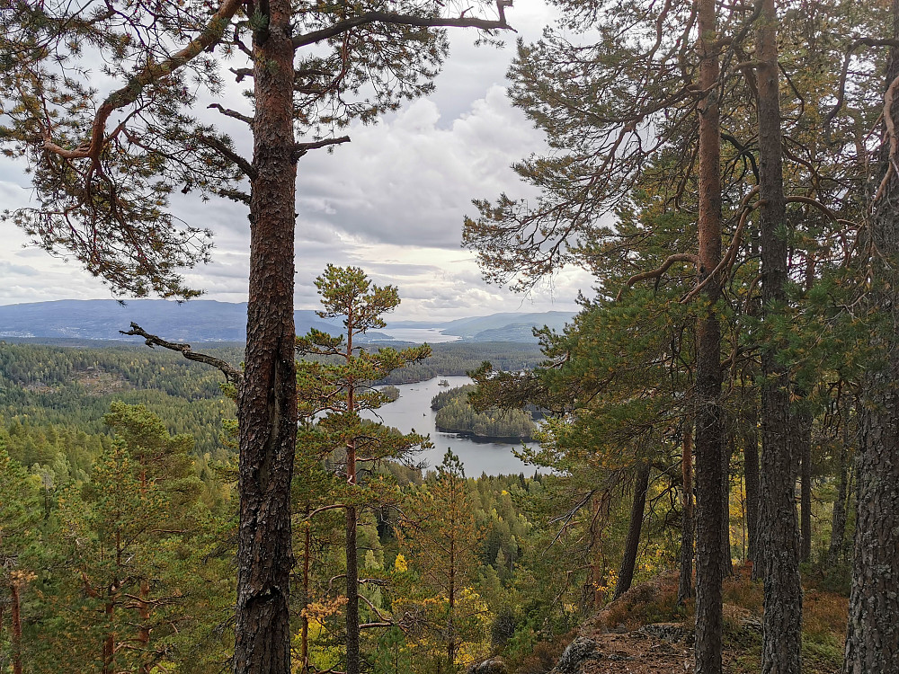 Utsikt fra Jungerkollen