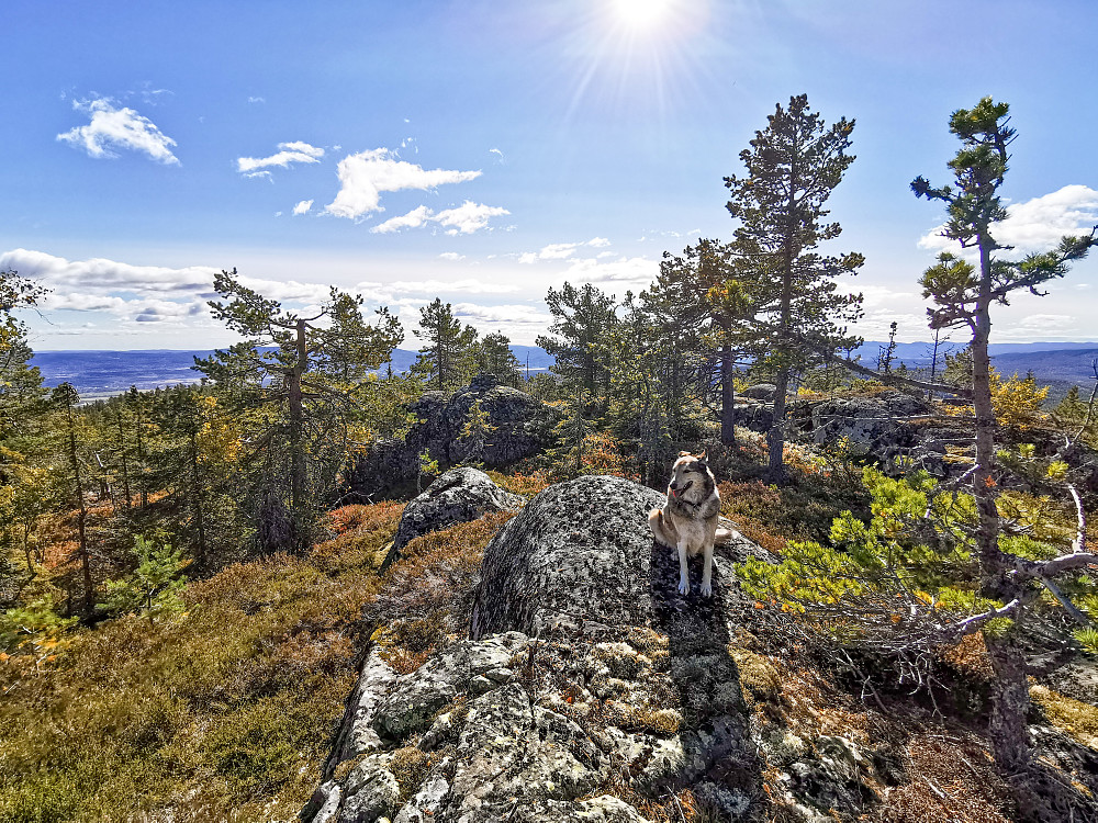 Sørøst for Hoenseteråsen