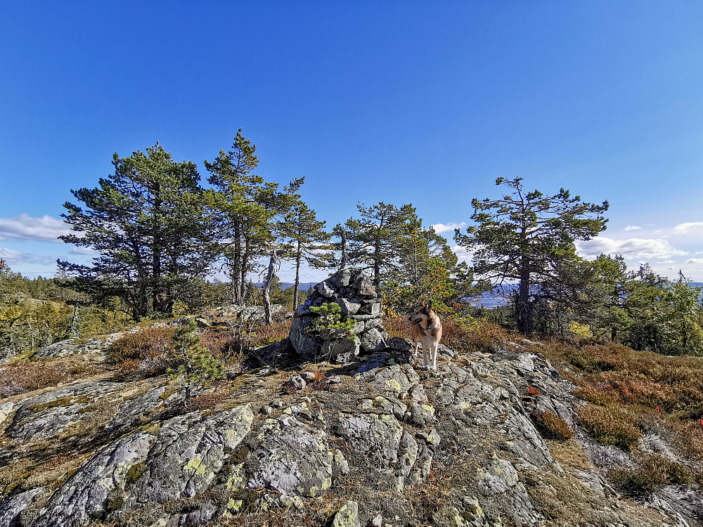 Hoenseteråsen