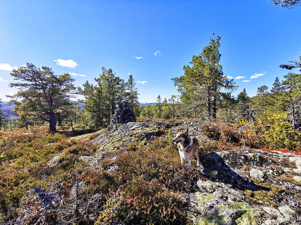 Totjerntoppen 