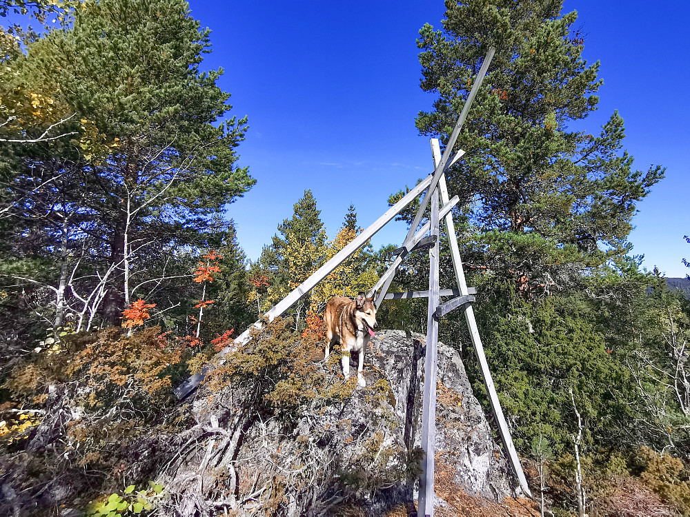 Flisebergåsen