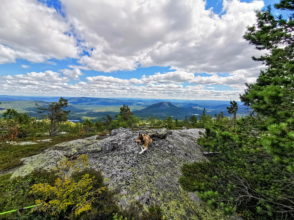 Bjørnåsen