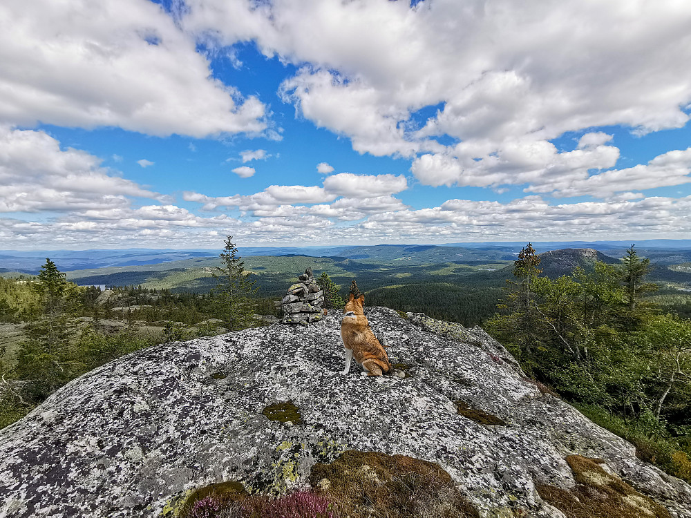 Langevassåsen