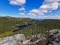 ovega_20200919_5f65a60c7c6c1.jpeg