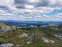 ovega_20200919_5f65a60e6d8df.jpeg