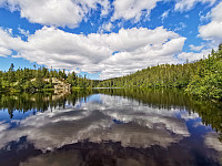 ovega_20200919_5f65a6110ee7b.jpeg