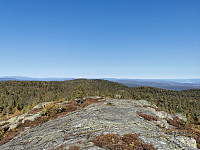 ovega_20200920_5f6769f600897.jpeg