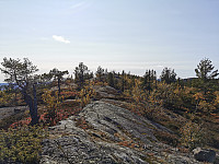 ovega_20200920_5f6769f713d84.jpeg