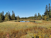 ovega_20200920_5f6769f9dbcc5.jpeg
