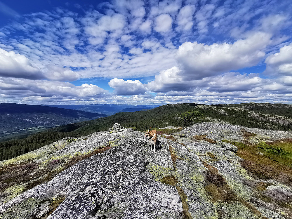 Svartetjønnåsen
