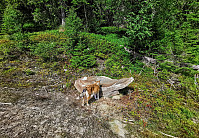 ovega_20200924_5f6c4b87ed82f.jpg
