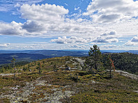 ovega_20200924_5f6c4b89ed738.jpg