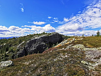 ovega_20200924_5f6c4b8b20def.jpg