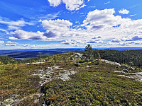 ovega_20200924_5f6c4b8c7bd0d.jpg