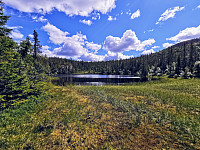 ovega_20200924_5f6c4b90a1819.jpg