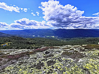ovega_20200924_5f6c4b936d250.jpg