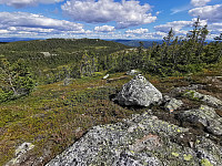 ovega_20200924_5f6c4b96b458e.jpg