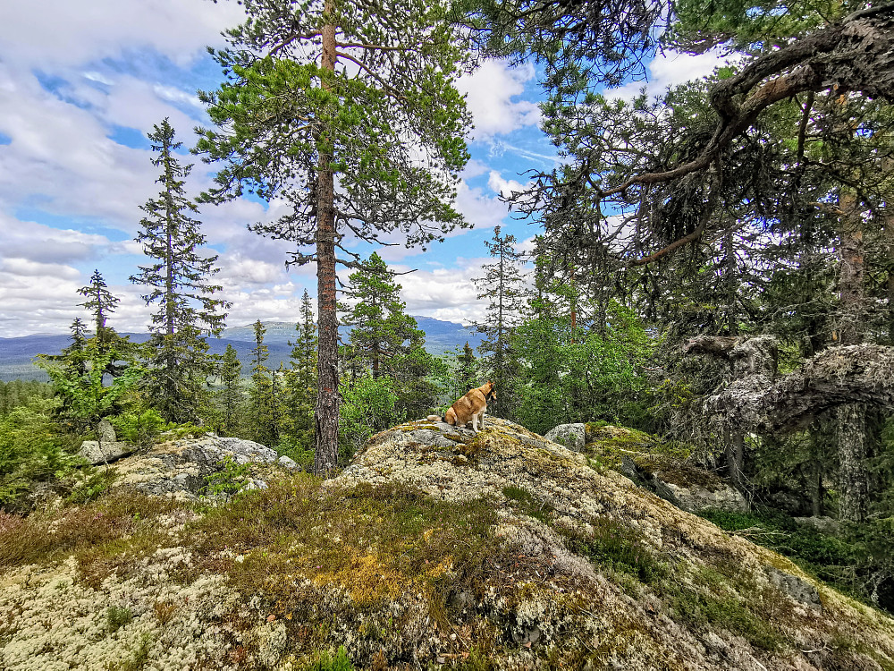 Breisetåsen Nord