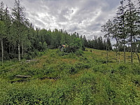 ovega_20200929_5f7309c5c846a.jpg