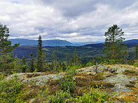 ovega_20200929_5f7309c86ef52.jpg