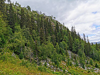 ovega_20200929_5f7309d3e1b0a.jpg