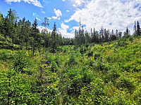 ovega_20200929_5f7309dcb3bdb.jpg