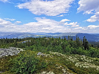 ovega_20200929_5f730e9835ee1.jpg
