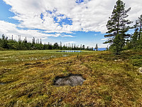 ovega_20200929_5f730e9a4ed8d.jpg