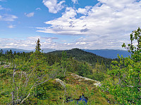 ovega_20200929_5f730e9c27c0d.jpg