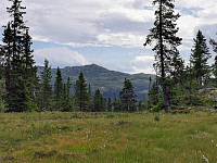 ovega_20200929_5f730ea046ba1.jpg