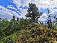 ovega_20200929_5f730ea32970e.jpg