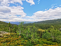 ovega_20200929_5f730eab2483d.jpg