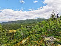 ovega_20200929_5f730eaea93c2.jpg
