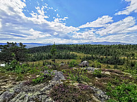 ovega_20200929_5f730eb247359.jpg