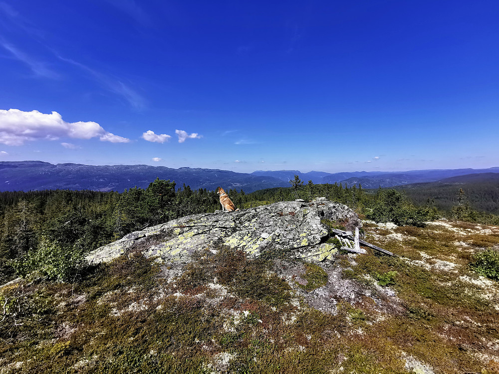 Granskardåsen