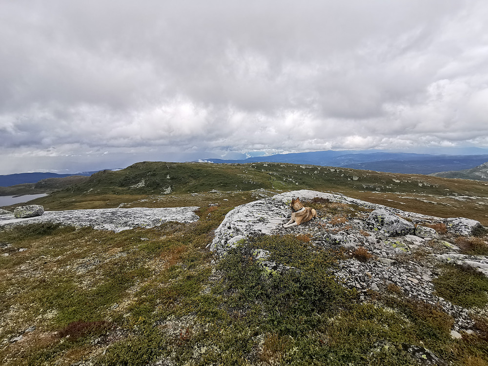 Uverudfjell