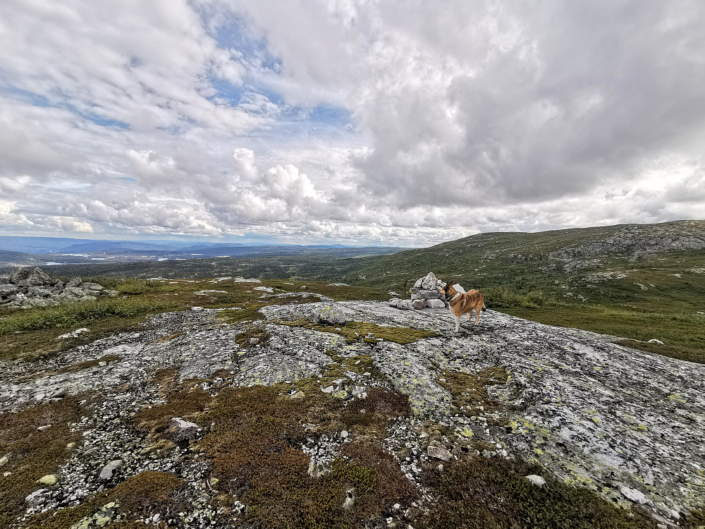 Veslefjell