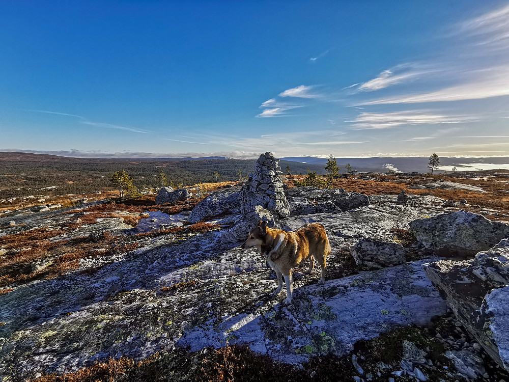 Flætebekkfjellet