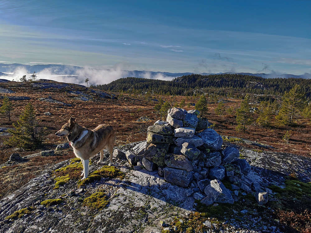 Stegafjellet