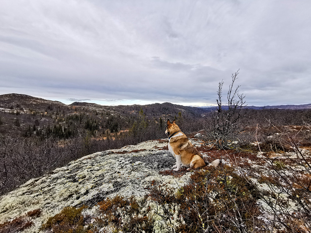 Nord for Bjørstølfjellet