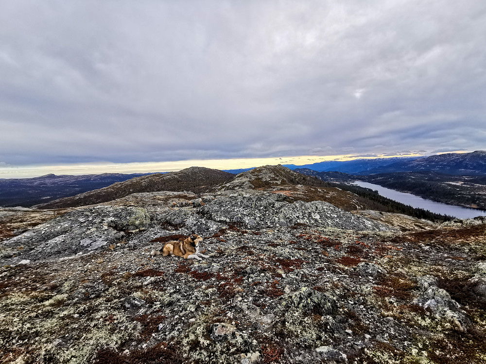Ryggfjellet N1