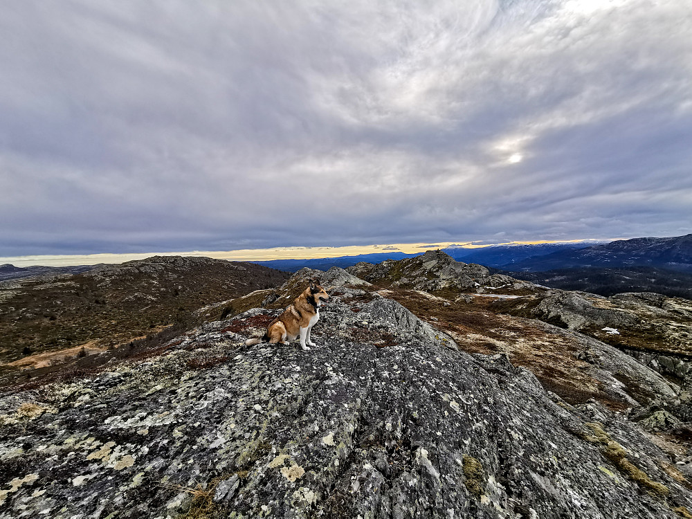 Ryggfjellet