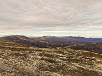 ovega_20201108_5fa82bb02e291.jpeg