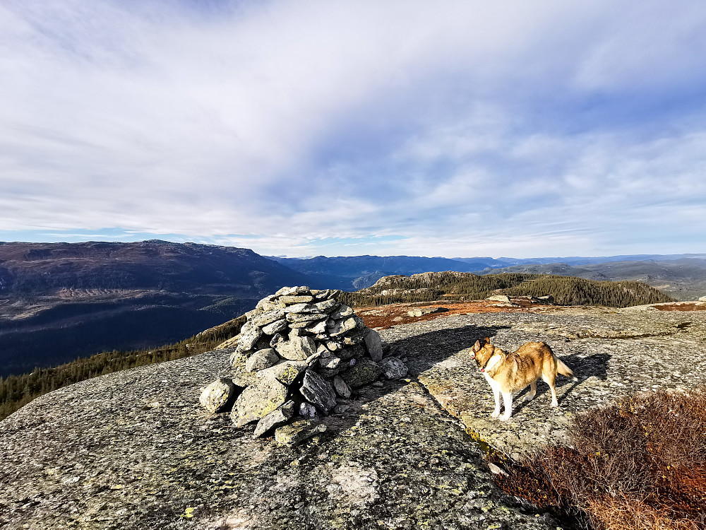 Skagsåsen