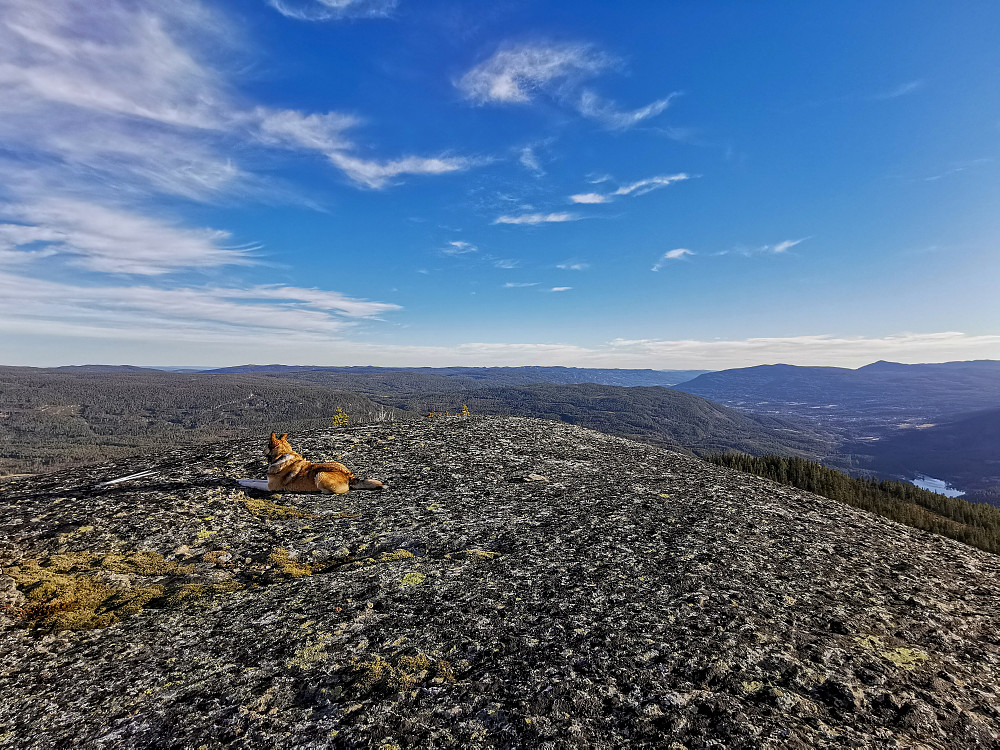 Skagsåsen SØ2