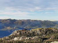 ovega_20201108_5fa8364863a76.jpeg