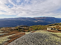 ovega_20201108_5fa83649483dc.jpeg